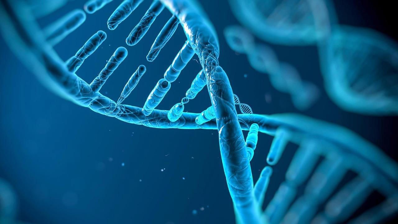 Read more about the article Εισαγωγή στους γενετικούς αλγορίθμους (genetic algorithms)